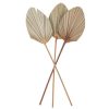 Beauty Home ΦΥΛΛΑ ΠΑΛΜΑ ΣΕΤ 3 ΤΜΧ 60 x 15 cm