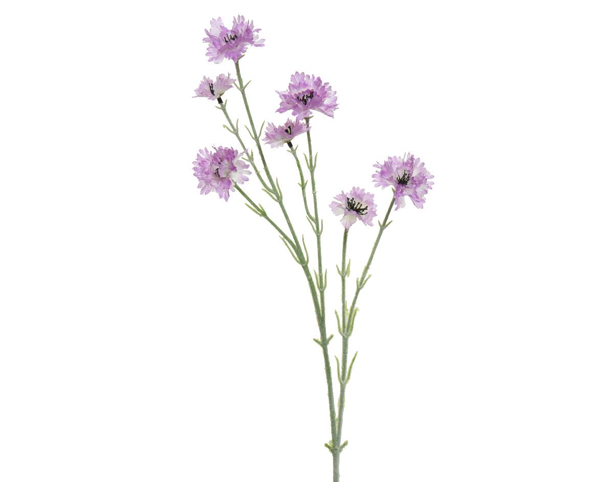 Beauty Home ΛΟΥΛΟΥΔΙ 68 CM