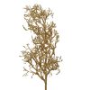 Beauty Home ΚΛΑΔΙ ΧΡΥΣΟ ΜΕ ΜΠΙΛΑΚΙΑ 84 cm