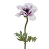 Beauty Home ΑΝΕΜΩΝΗ 57 CM
