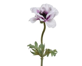 Beauty Home ΑΝΕΜΩΝΗ 57 CM
