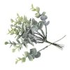 Beauty Home ΤΕΧΝHΤΑ ΚΛΑΔΑΚΙΑ ΕΥΚΑΛΥΠΤΟΥ 17 CM