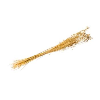 Beauty Home ΑΠΟΞΗΡΑΜΕΝΟ ΛΙΝΑΡΙ 50GR – 60CM
