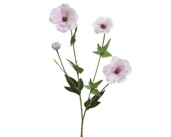 Beauty Home ΛΟΥΛΟΥΔΙ 67CM