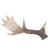 ΚΕΡΑΤΟ ΤΑΡΑΝΔΟΥ ΠΟΛΥΕΣΤΕΡΙΚΟ 28X12 CM       Beauty Home