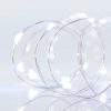 ΣΕΙΡΑ, 100 MINI LED, 4,5V ΑΣΗΜΙ ΧΑΛΚΟΣ, ΛΕΥΚΟ LED, ΣΤΑΘΕΡΟ, ΜΕ ΜΕΤΑΣΧΗΜΑΤΙΣΤΗ, ΠΡΟΕΚΤΑΣΗ ΠΑΡΟΧΗΣ