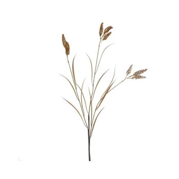 ΚΛΑΔΙ/ΦΥΤΟ NATURAL/ΚΑΦΕ Υ100