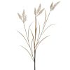 ΚΛΑΔΙ/ΦΥΤΟ NATURAL/ΜΠΕΖ Υ100