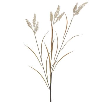 ΚΛΑΔΙ/ΦΥΤΟ NATURAL/ΜΠΕΖ Υ100
