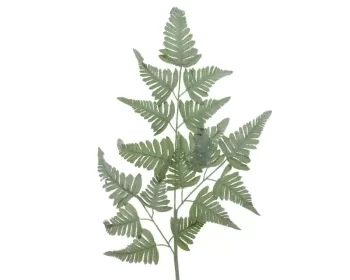 Alternative view of ΦΤΕΡΗ 38x116cm