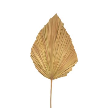 Alternative view of Διακοσμητικό φύλλο Walsy Inart palm leaf σε φυσική απόχρωση Υ135 εκ