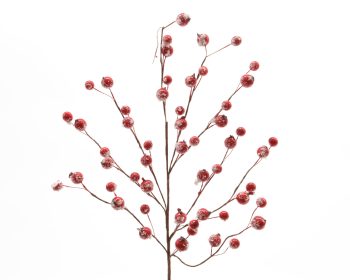 ΚΛΑΔΙ ΑΠΟ ΧΙΟΝΙΣΜΕΝΑ ΚΟΚΚΙΝΑ BERRIES 15Χ55ΕΚ 622030 red