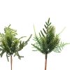 ΚΛΑΔΙ ΠΡΑΣΙΝΑΔΑ 8Χ22ΕΚ 681254 green