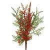 ΚΛΑΔΙ ΠΡΑΣΙΝΑΔΑ ΜΕ ΚΟΚΚΙΝΑ BERRIER 20X28ΕΚ 681556 green/red