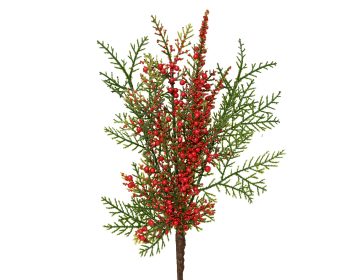 ΚΛΑΔΙ ΠΡΑΣΙΝΑΔΑ ΜΕ ΚΟΚΚΙΝΑ BERRIER 20X28ΕΚ 681556 green/red