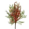 ΚΛΑΔΙ ΠΡΑΣΙΝΑΔΑ ΜΕ ΚΟΚΚΙΝΑ BERRIER 26X50ΕΚ 681557 green/red