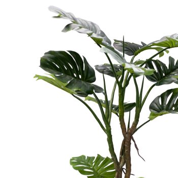 Alternative view of Διακοσμητικό φυτό σε γλάστρα Monstera III Inart πράσινο pp Υ180εκ