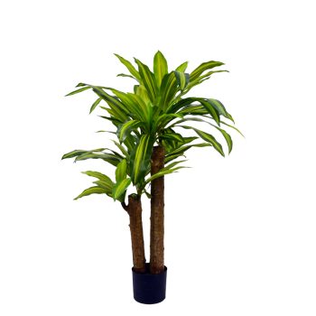 Διακοσμητικό φυτό  Dracaena σε γλάστρα Inart πράσινο pp Υ110εκ 316-000008