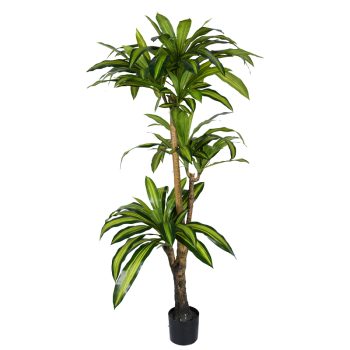 Διακοσμητικό φυτό Dracaena I σε γλάστρα Inart  πράσινο pp Υ170εκ 316-000009