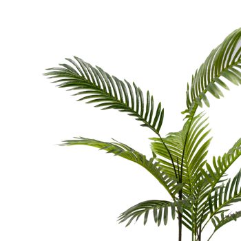 Alternative view of Διακοσμητικό φυτό Areca σε γλάστρα Inart πράσινο pp Υ80εκ