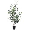 Διακοσμητικό φυτό Eucalyptus σε γλάστρα Inart πράσινο pp Υ120εκ 316-000014