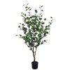 Διακοσμητικό φυτό Eucalyptus Ι σε γλάστρα Inart πράσινο pp Υ150εκ 316-000015