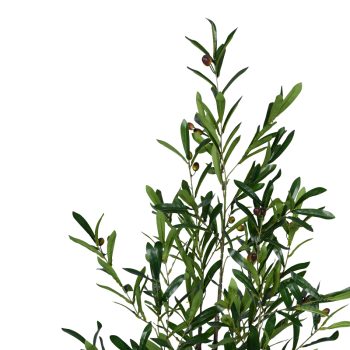 Alternative view of Διακοσμητικό φυτό Olive tree σε γλάστρα Inart πράσινο pp Υ120εκ