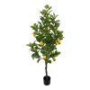 Διακοσμητικό φυτό Lemon tree σε γλάστρα Inart πράσινο pp Υ150εκ 316-000033