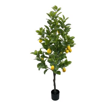Διακοσμητικό φυτό Lemon tree σε γλάστρα Inart πράσινο pp Υ150εκ 316-000033