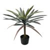Διακοσμητικό φυτό Dracaena palm σε γλάστρα Inart πράσινο pp Υ62εκ 316-000038