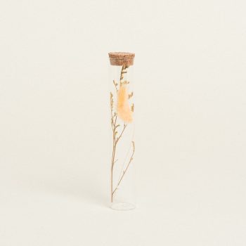 Beauty Home ΓΥΑΛΙΝΟΣ ΣΩΛΗΝΑΣ ΜΕ ΚΛΑΔΙΑ 3 x 18 cm