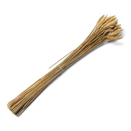 ΑΠΟΞΗΡΑΜΕΝΟ ΣΤΑΧΥ 70G 60CM - Image 5