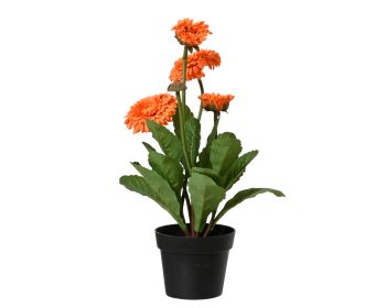 833262s2