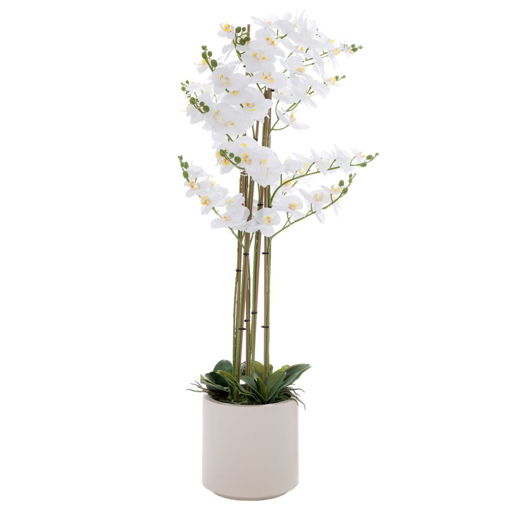 ΛΕΥΚΗ ΟΡΧΙΔΕΑ PHALAENOPSIS ΣΕ ΕΚΡΟΥ ΚΕΡΑΜΙΚΟ ΚΑΣΠΩ 127ΕΚ