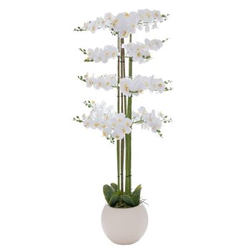 ΛΕΥΚΗ ΟΡΧΙΔΕΑ PHALAENOPSIS ΣΕ ΕΚΡΟΥ ΚΕΡΑΜΙΚΟ ΚΑΣΠΩ 160ΕΚ
