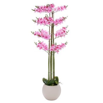 ΡΟΖ ΟΡΧΙΔΕΑ PHALAENOPSIS ΣΕ ΕΚΡΟΥ ΚΕΡΑΜΙΚΟ ΚΑΣΠΩ 160ΕΚ