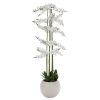 ΛΕΥΚΗ ΟΡΧΙΔΕΑ PHALAENOPSIS ΣΕ ΕΚΡΟΥ ΚΕΡΑΜΙΚΟ ΚΑΣΠΩ 190ΕΚ