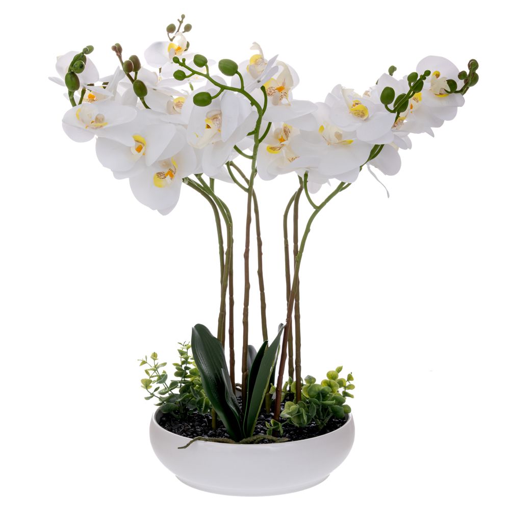 ΛΕΥΚΗ ΟΡΧΙΔΕΑ PHALAENOPSIS ΣΕ ΛΕΥΚΟ ΚΕΡΑΜΙΚΟ ΚΑΣΠΩ 55ΕΚ