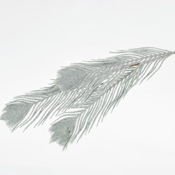 Alternative view of ΚΛΑΔΙ ΦΤΕΡΗ 99 CM