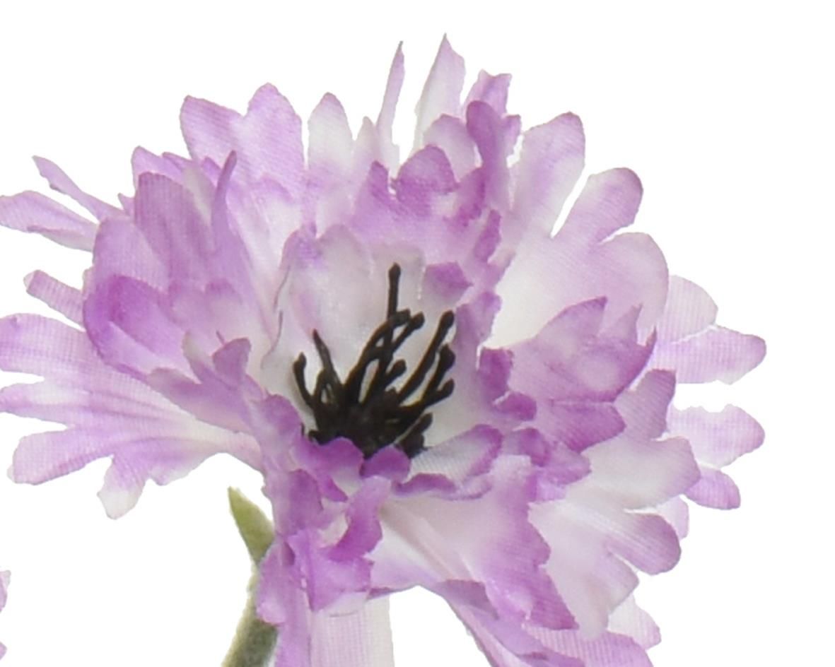 ΛΟΥΛΟΥΔΙ 68 CM - Image 4