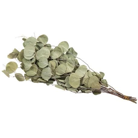 ΑΠΟΞΗΡΑΜΕΝΟΣ ΕΥΚΑΛΥΠΤΟΣ 120 GR - Image 3