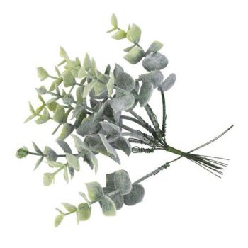 Alternative view of ΤΕΧΝHΤΑ ΚΛΑΔΑΚΙΑ ΕΥΚΑΛΥΠΤΟΥ 17 CM