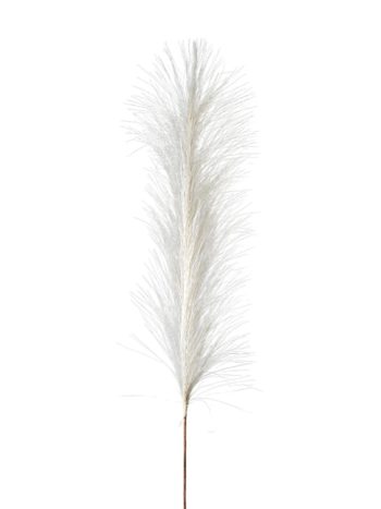 51793