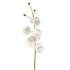 Inart Κλαδί/Λουλούδι Λευκό-Ελεφαντόδοντο Σίδερο   PE